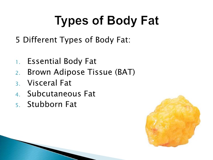 types of body fat